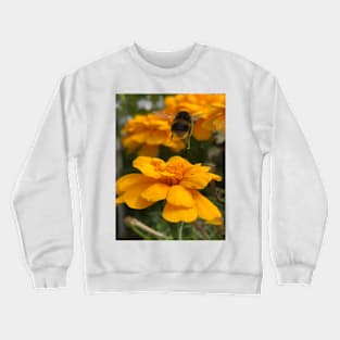 Busy Bee Crewneck Sweatshirt